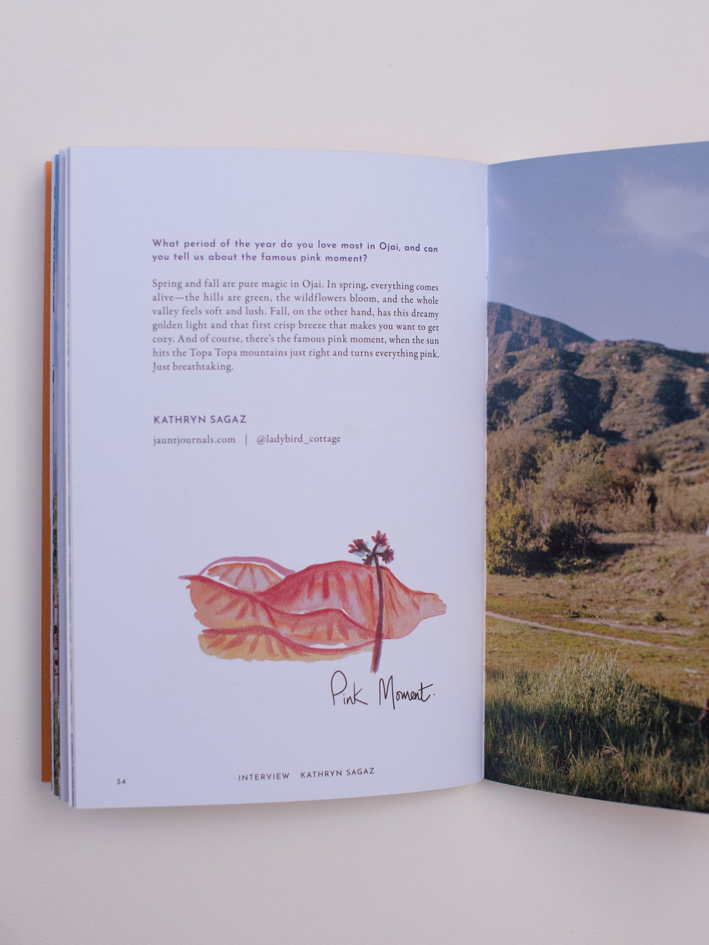 Ojai Guidebook