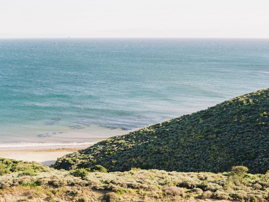 Steps To Enjoy Budget Friendly California Coastal Trips With Local Ideas