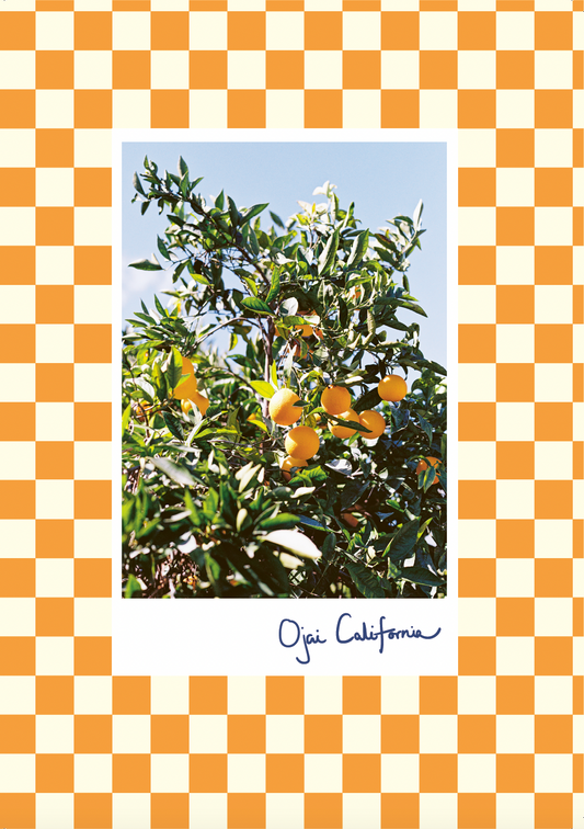 Ojai