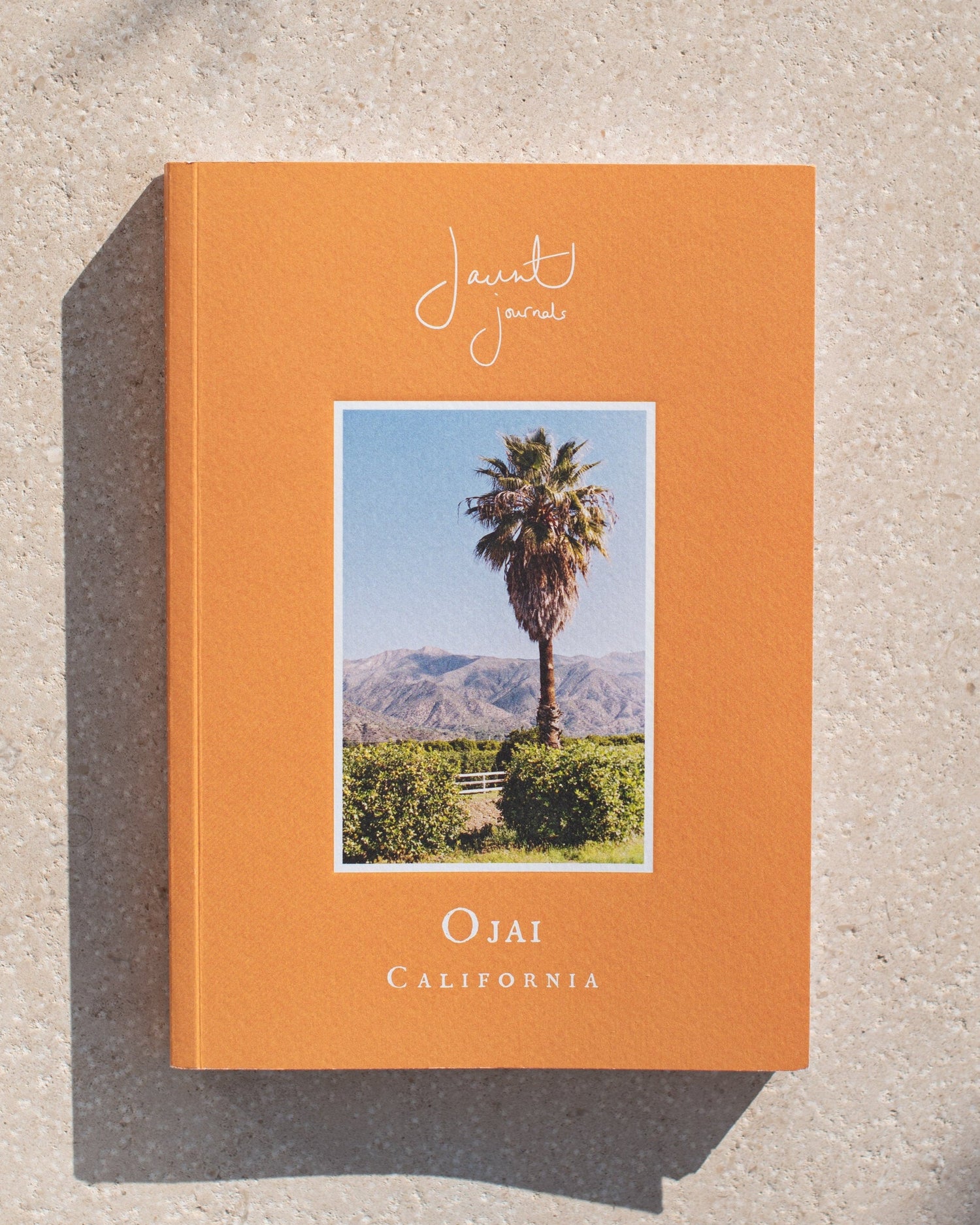 Book cover with a palm tree and mountain landscape on a beige background