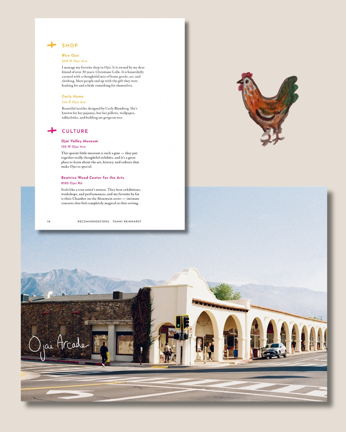 Brochure with a chicken illustration on one page and a street scene on the other, against a light gray background.