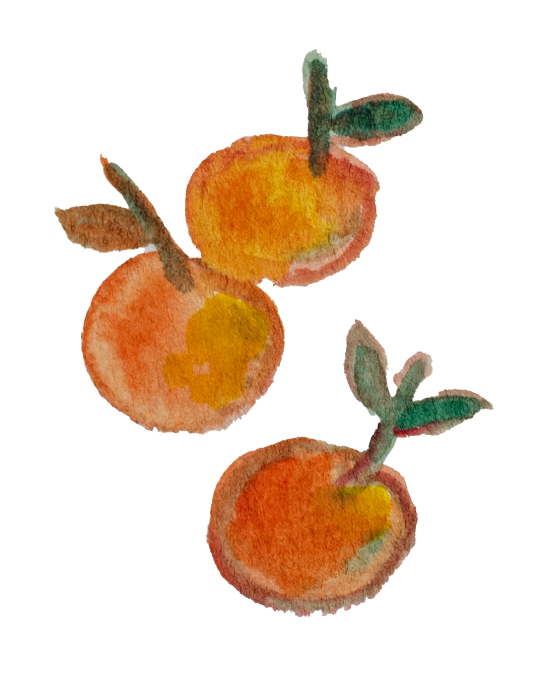 Three stylized orange fruits with green stems on a white background