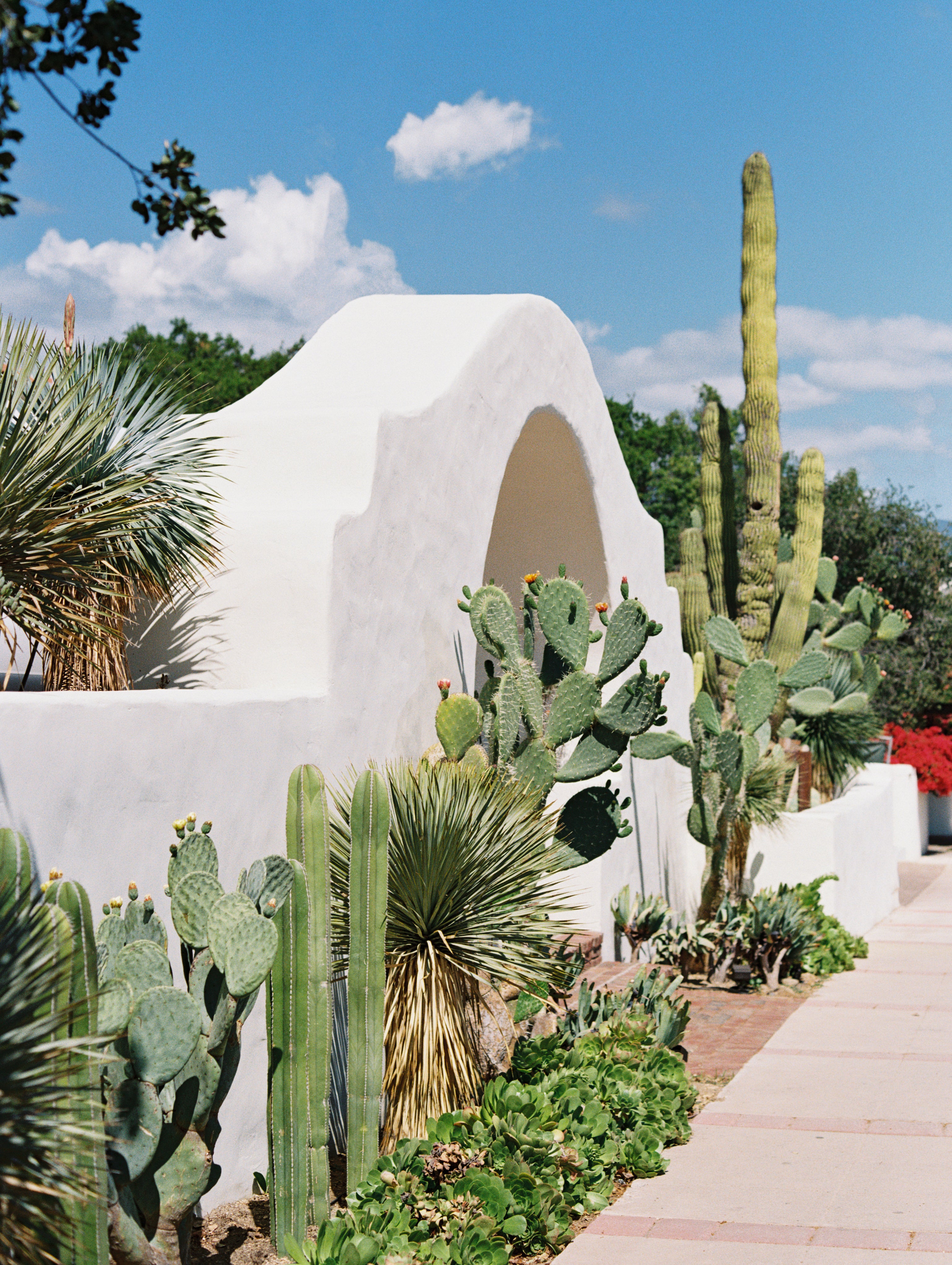 Hotel El Roblar in Ojai. White architectural structure with cacti and succulents in a garden setting